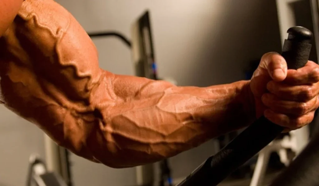 Pump Muscular: O Que É e Por Que Acontece Nos Treinos? A Ciência Por Trás da Sensação